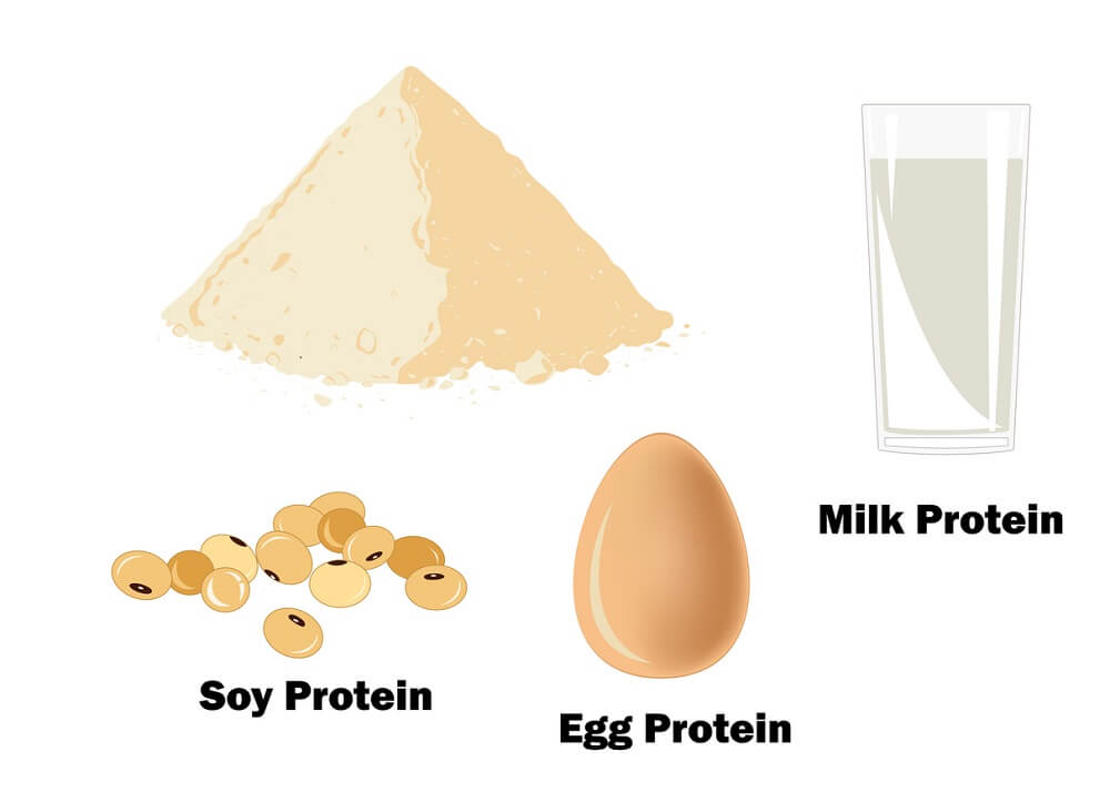 forskellige-typer-proteinpulver