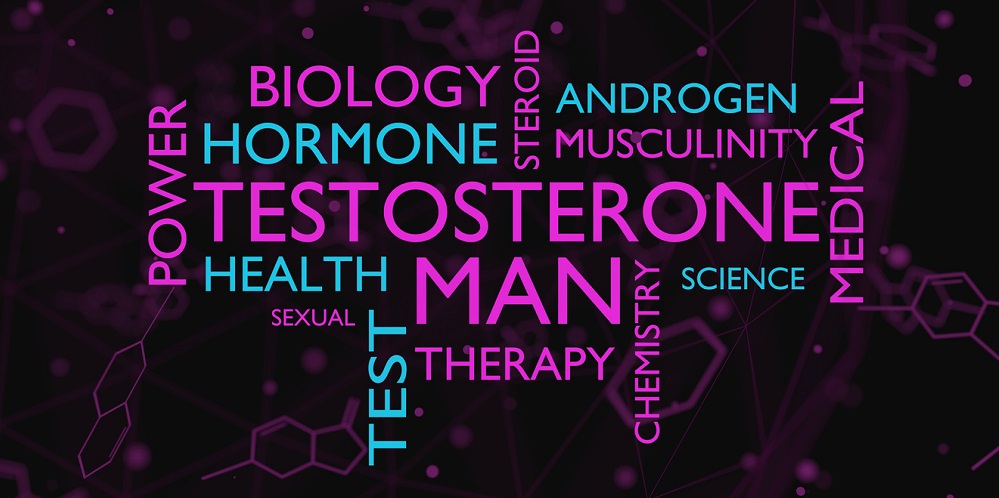 hormon testosteron